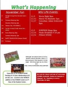 November Newsletter page 2